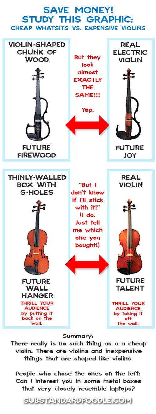 I Know Why You Buy an Expensive Violin a Cheap Student Violin Substandard Poodle